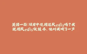 美团一面：项目中使用过Redis吗？我说用Redis做缓存。他对我哦了一声-拾光赋