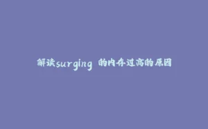 解读surging 的内存过高的原因-拾光赋