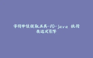 字符串值提取工具-10-java 执行表达式引擎-拾光赋