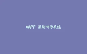 WPF 医院叫号系统-拾光赋