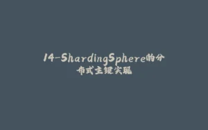 14-ShardingSphere的分布式主键实现-拾光赋