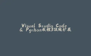 Visual Studio Code & Python教程3顶级扩展-拾光赋