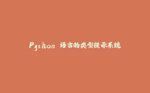 Python 语言的类型提示系统-拾光赋