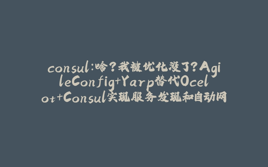 consul：啥？我被优化没了？AgileConfig+Yarp替代Ocelot+Consul实现服务发现和自动网关配置 - 拾光赋-拾光赋