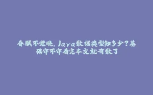 春眠不觉晓,Java数据类型知多少?基础牢不牢看完本文就有数了-拾光赋