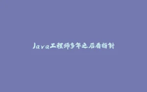 Java工程师多年之后看指针-拾光赋