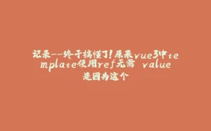 记录--终于搞懂了！原来vue3中template使用ref无需.value是因为这个-拾光赋