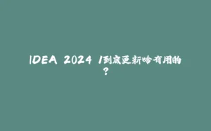 IDEA 2024.1到底更新啥有用的？-拾光赋