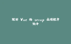 理解 Vue 的 setup 应用程序钩子-拾光赋