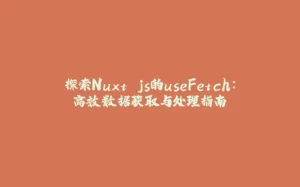 探索Nuxt.js的useFetch:高效数据获取与处理指南-拾光赋