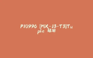 P10996 【MX-J3-T3】Tuple 题解-拾光赋