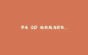 华为 OD 的职级与薪资。。-拾光赋