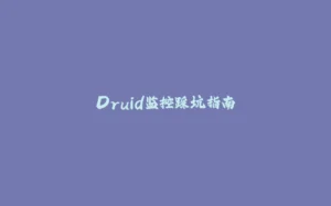 Druid监控踩坑指南-拾光赋