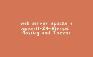 web server apache tomcat11-24-Virtual Hosting and Tomcat-拾光赋