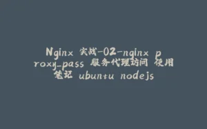Nginx 实战-02-nginx proxy_pass 服务代理访问 使用笔记 ubuntu nodejs-拾光赋