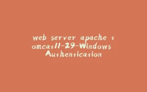 web server apache tomcat11-29-Windows Authentication-拾光赋
