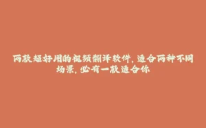 两款超好用的视频翻译软件，适合两种不同场景，必有一款适合你-拾光赋