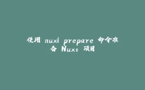 使用 nuxi prepare 命令准备 Nuxt 项目-拾光赋
