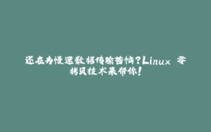 还在为慢速数据传输苦恼？Linux 零拷贝技术来帮你！-拾光赋