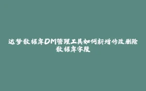 达梦数据库DM管理工具如何新增修改删除数据库字段-拾光赋