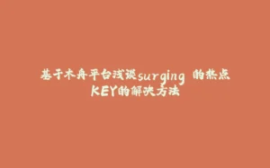 基于木舟平台浅谈surging 的热点KEY的解决方法-拾光赋