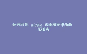 如何找到 niche 出海细分市场的 IDEA-拾光赋