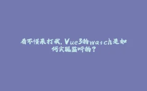 看不懂来打我，Vue3的watch是如何实现监听的？-拾光赋