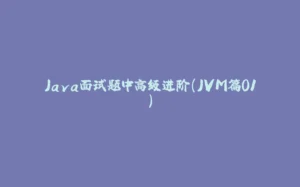Java面试题中高级进阶（JVM篇01）-拾光赋