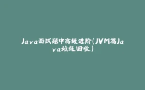 Java面试题中高级进阶(JVM篇Java垃圾回收)-拾光赋