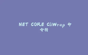 .NET CORE CliWrap 命令行-拾光赋