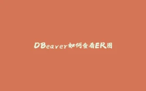 DBeaver如何查看ER图-拾光赋