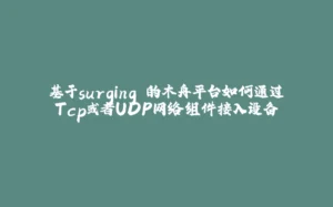 基于surging 的木舟平台如何通过Tcp或者UDP网络组件接入设备-拾光赋