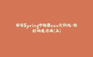 解密Spring中的Bean实例化：推断构造方法（上）-拾光赋