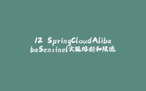12.SpringCloudAlibabaSentinel实现熔断和限流-拾光赋
