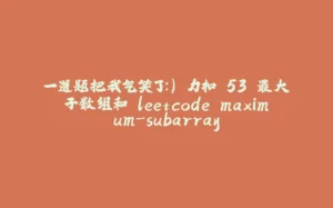 一道题把我气笑了:) 力扣.53 最大子数组和 leetcode maximum-subarray-拾光赋