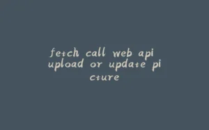 fetch call web api upload or update picture-拾光赋