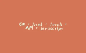 C# + html + fetch + API + javascript-拾光赋