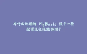 为什么你用的 MyBatis 慢？一行配置让它性能翻倍！-拾光赋