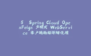 5. Spring Cloud OpenFeign 声明式 WebService 客户端的超详细使用-拾光赋