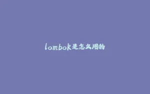 lombok是怎么用的-拾光赋