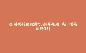 公司代码被泄露了，别再乱用 AI 代码插件了！！-拾光赋