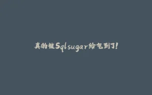 真的被Sqlsugar给气到了!-拾光赋