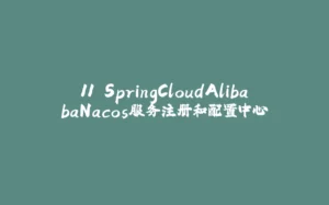 11.SpringCloudAlibabaNacos服务注册和配置中心-拾光赋