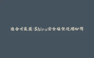 适合才最美：Shiro安全框架使用心得-拾光赋