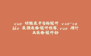 vue 功能最丰富的组件 vxe-table 最强表格组件推荐，vue 用什么表格组件好-拾光赋