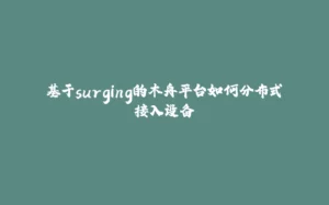 基于surging的木舟平台如何分布式接入设备-拾光赋