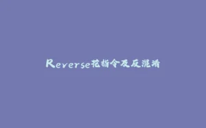 Reverse花指令及反混淆-拾光赋
