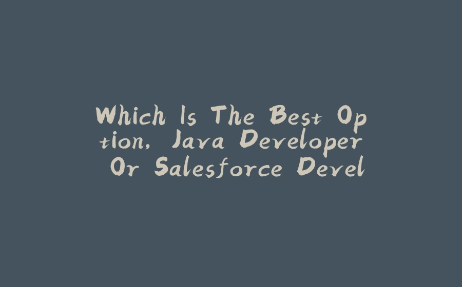 Which Is The Best Option, Java Developer Or Salesforce Developer As A Fresher? - 拾光赋-拾光赋