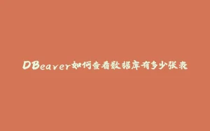 DBeaver如何查看数据库有多少张表-拾光赋