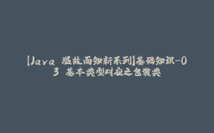 【Java 温故而知新系列】基础知识-03 基本类型对应之包装类-拾光赋